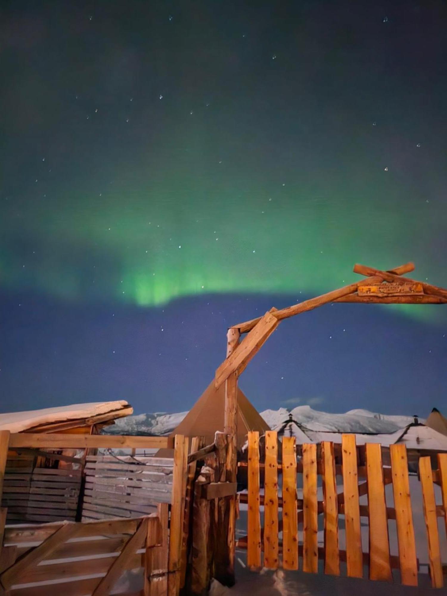 Platinum Vip - Northern Light Luxury House Tromso Bagian luar foto